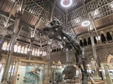 Musée d'histoire naturelle d'Oxford